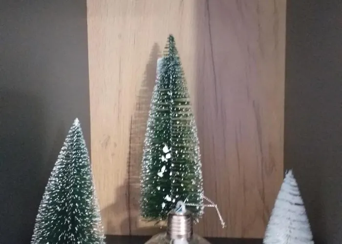 Studio-apartman ,,issa,,